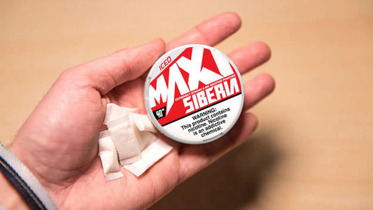 Top 5 Mint-Flavored Snus Products